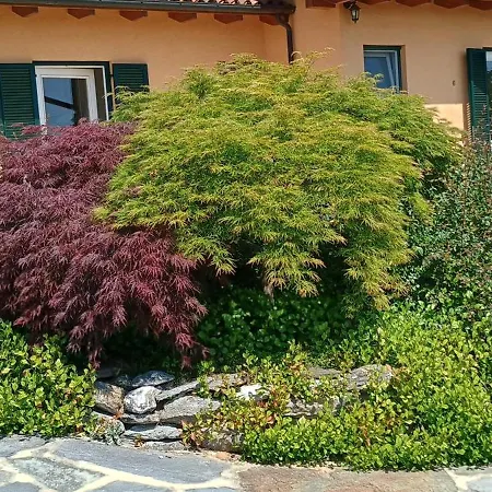 Aparthotel Alisea Eco Pocapaglia